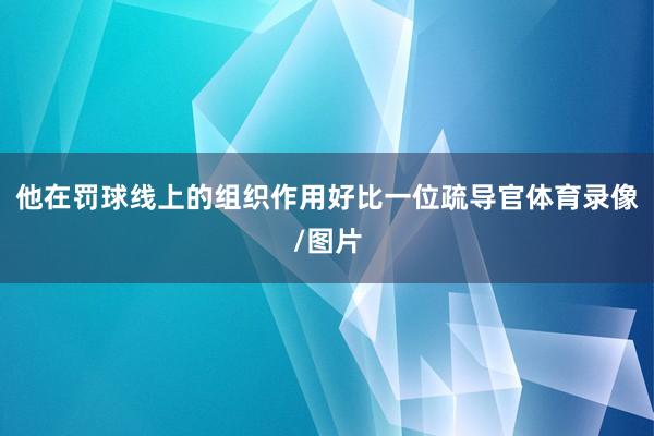 他在罚球线上的组织作用好比一位疏导官体育录像/图片