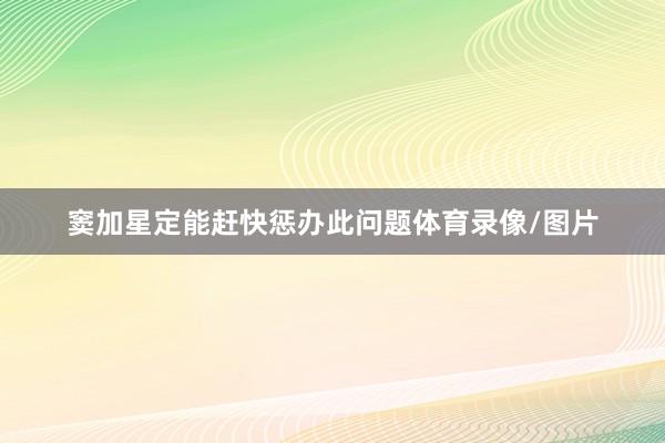 窦加星定能赶快惩办此问题体育录像/图片