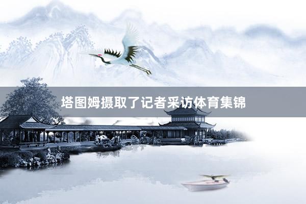 塔图姆摄取了记者采访体育集锦