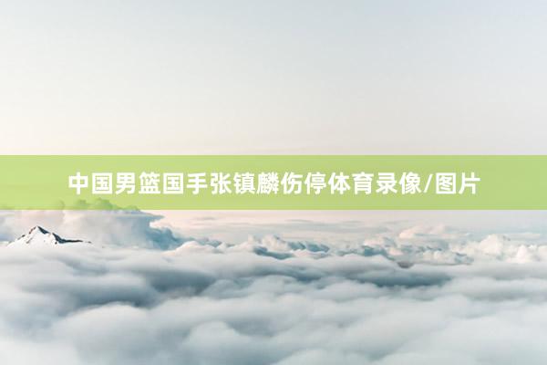 中国男篮国手张镇麟伤停体育录像/图片