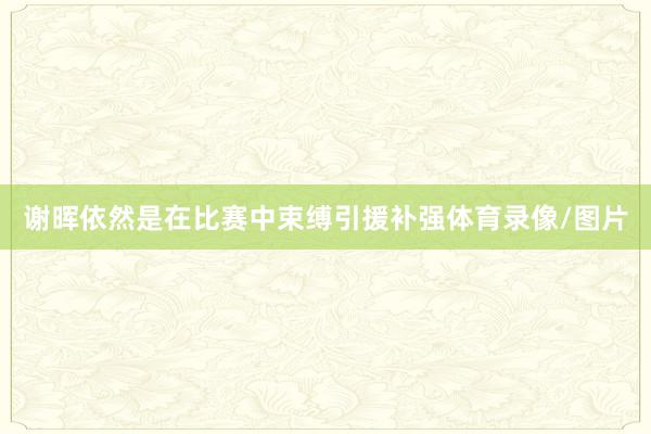 谢晖依然是在比赛中束缚引援补强体育录像/图片