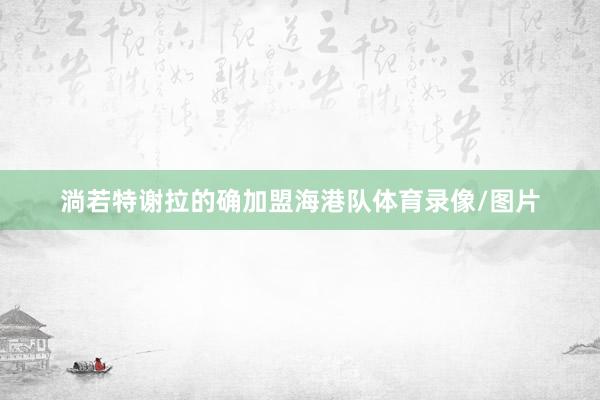 淌若特谢拉的确加盟海港队体育录像/图片