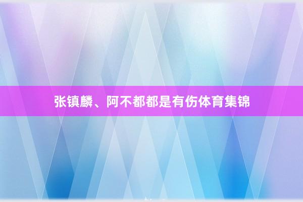张镇麟、阿不都都是有伤体育集锦