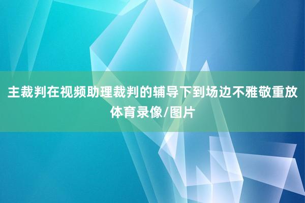 主裁判在视频助理裁判的辅导下到场边不雅敬重放体育录像/图片