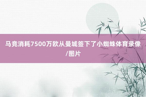 马竞消耗7500万欧从曼城签下了小蜘蛛体育录像/图片