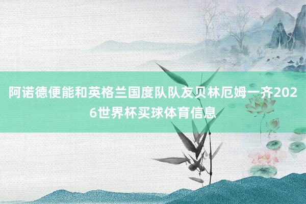 阿诺德便能和英格兰国度队队友贝林厄姆一齐2026世界杯买球体育信息