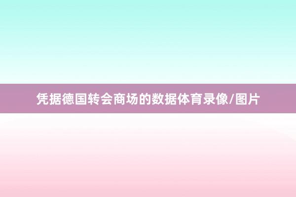 凭据德国转会商场的数据体育录像/图片
