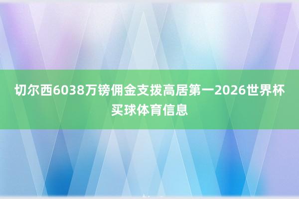切尔西6038万镑佣金支拨高居第一2026世界杯买球体育信息