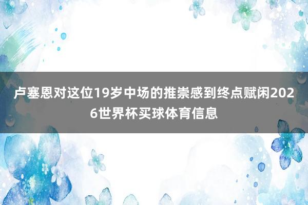 卢塞恩对这位19岁中场的推崇感到终点赋闲2026世界杯买球体育信息