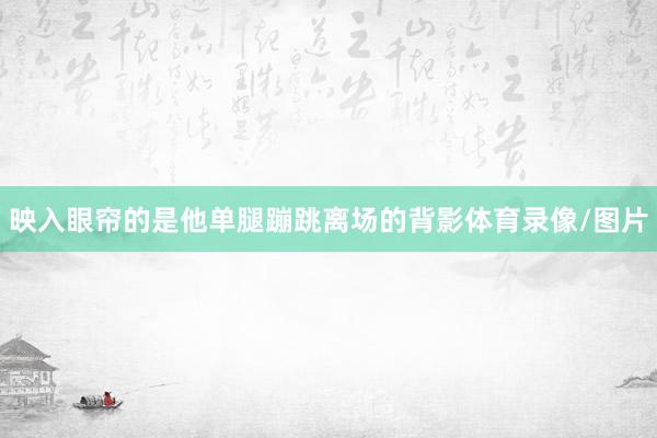 映入眼帘的是他单腿蹦跳离场的背影体育录像/图片