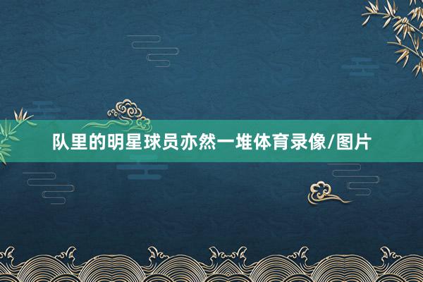 队里的明星球员亦然一堆体育录像/图片