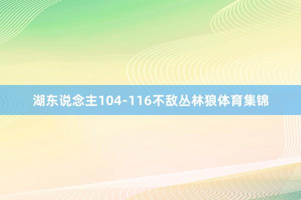 湖东说念主104-116不敌丛林狼体育集锦
