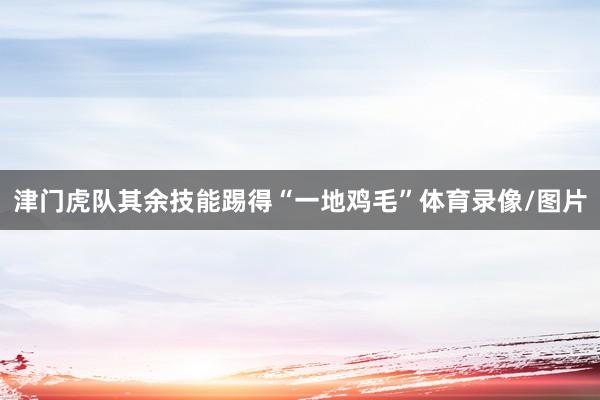 津门虎队其余技能踢得“一地鸡毛”体育录像/图片