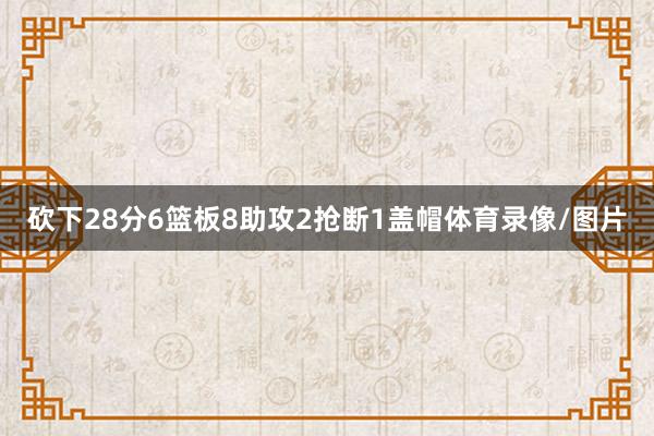 砍下28分6篮板8助攻2抢断1盖帽体育录像/图片