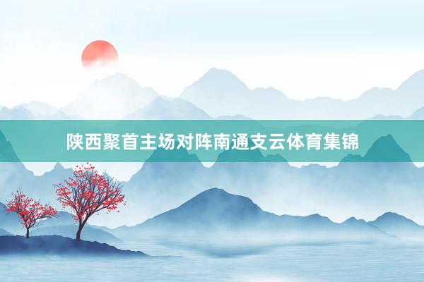 陕西聚首主场对阵南通支云体育集锦