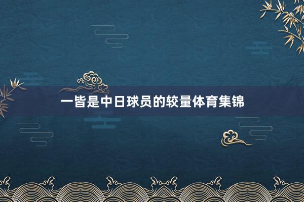一皆是中日球员的较量体育集锦