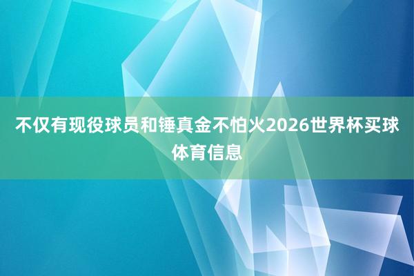不仅有现役球员和锤真金不怕火2026世界杯买球体育信息