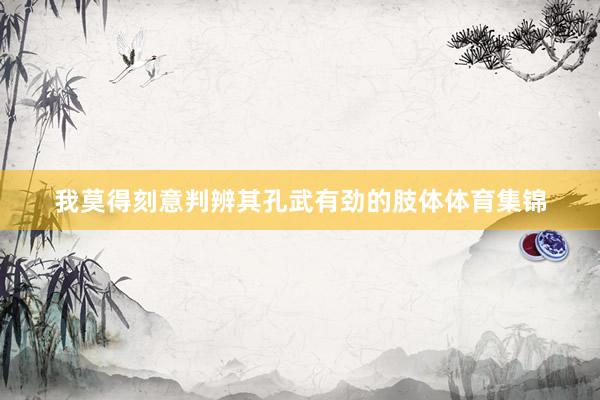 我莫得刻意判辨其孔武有劲的肢体体育集锦