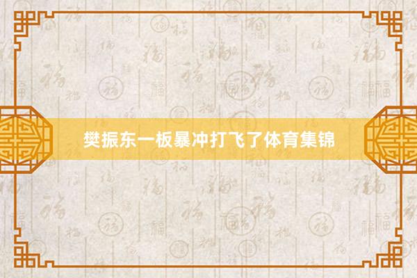 樊振东一板暴冲打飞了体育集锦