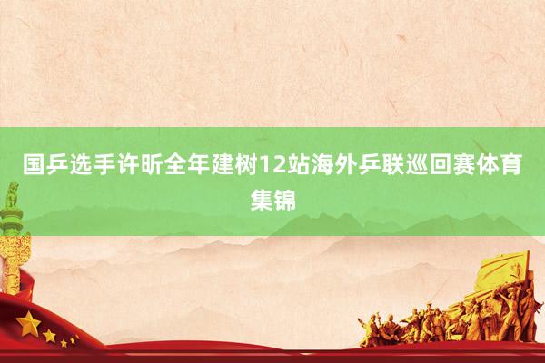 国乒选手许昕全年建树12站海外乒联巡回赛体育集锦
