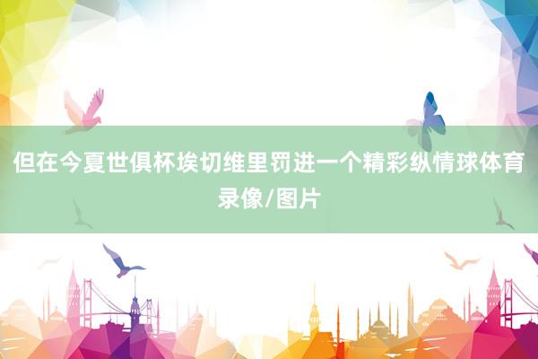 但在今夏世俱杯埃切维里罚进一个精彩纵情球体育录像/图片