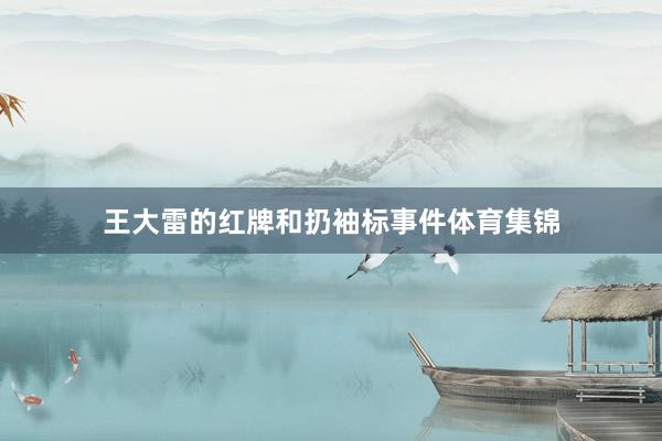 王大雷的红牌和扔袖标事件体育集锦