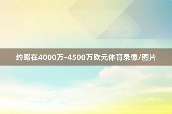 约略在4000万-4500万欧元体育录像/图片