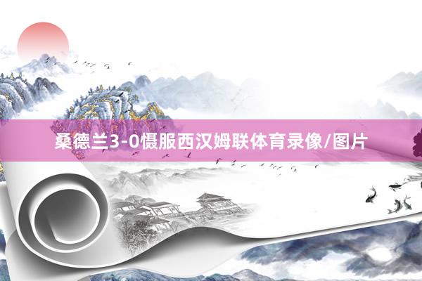 桑德兰3-0慑服西汉姆联体育录像/图片