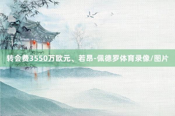 转会费3550万欧元、若昂-佩德罗体育录像/图片