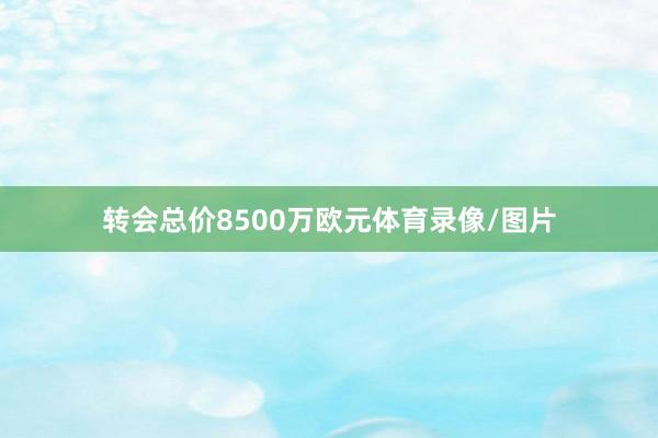 转会总价8500万欧元体育录像/图片