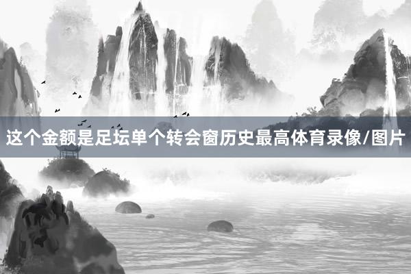 这个金额是足坛单个转会窗历史最高体育录像/图片