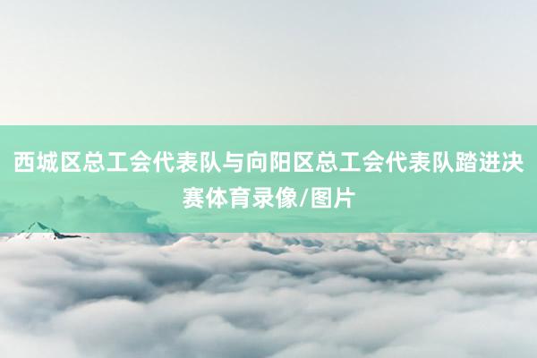 西城区总工会代表队与向阳区总工会代表队踏进决赛体育录像/图片