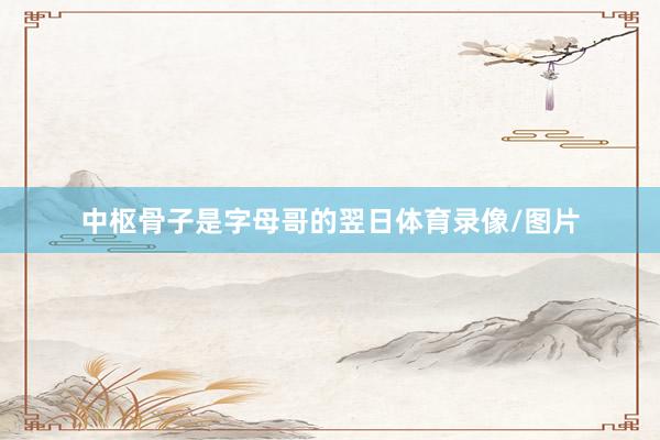 中枢骨子是字母哥的翌日体育录像/图片