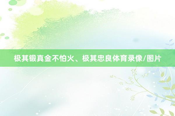 极其锻真金不怕火、极其忠良体育录像/图片