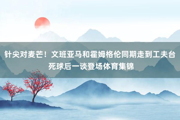 针尖对麦芒！文班亚马和霍姆格伦同期走到工夫台 死球后一谈登场体育集锦