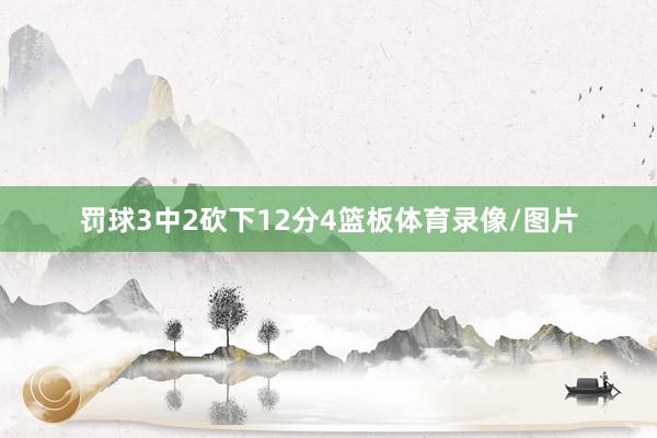罚球3中2砍下12分4篮板体育录像/图片