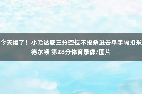 今天爆了！小哈达威三分空位不投杀进去单手隔扣米德尔顿 第28分体育录像/图片