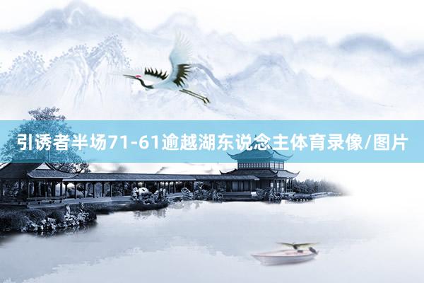 引诱者半场71-61逾越湖东说念主体育录像/图片