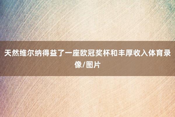 天然维尔纳得益了一座欧冠奖杯和丰厚收入体育录像/图片