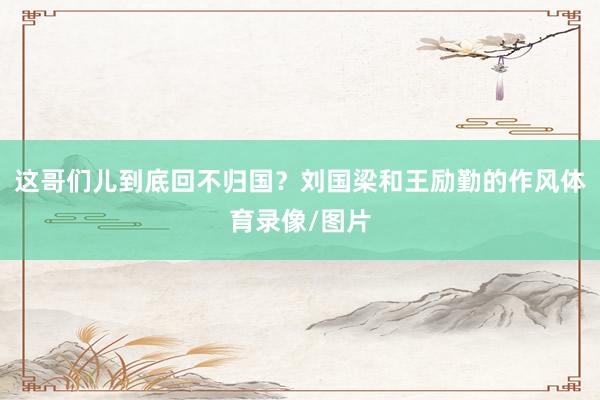 这哥们儿到底回不归国？刘国梁和王励勤的作风体育录像/图片