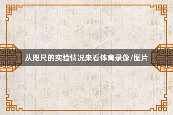 从咫尺的实验情况来看体育录像/图片