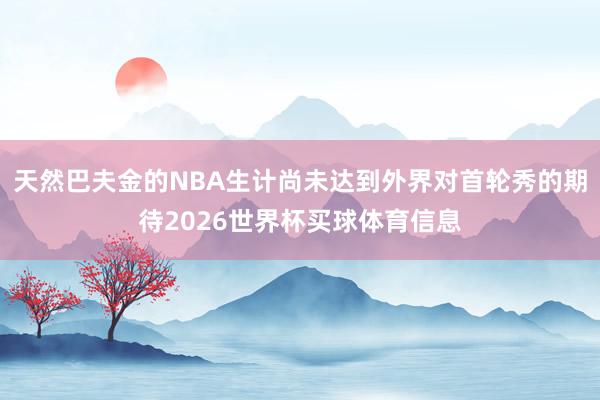 天然巴夫金的NBA生计尚未达到外界对首轮秀的期待2026世界杯买球体育信息