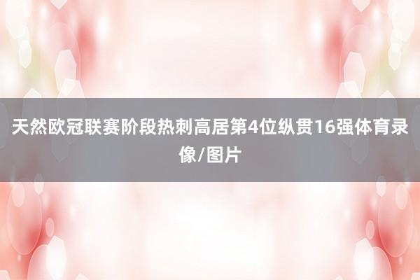 天然欧冠联赛阶段热刺高居第4位纵贯16强体育录像/图片