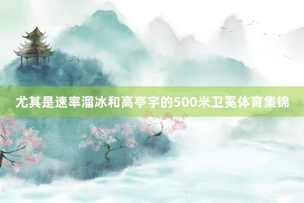 尤其是速率溜冰和高亭宇的500米卫冕体育集锦