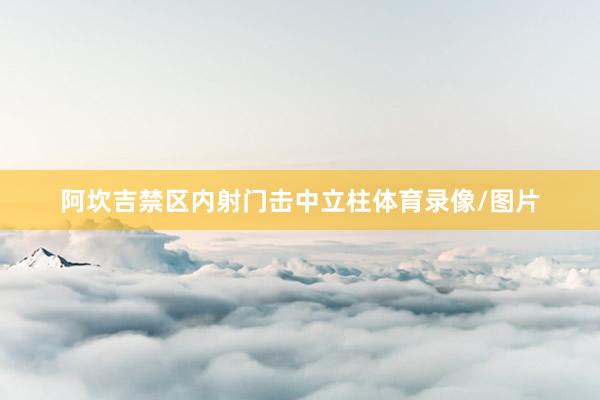 阿坎吉禁区内射门击中立柱体育录像/图片