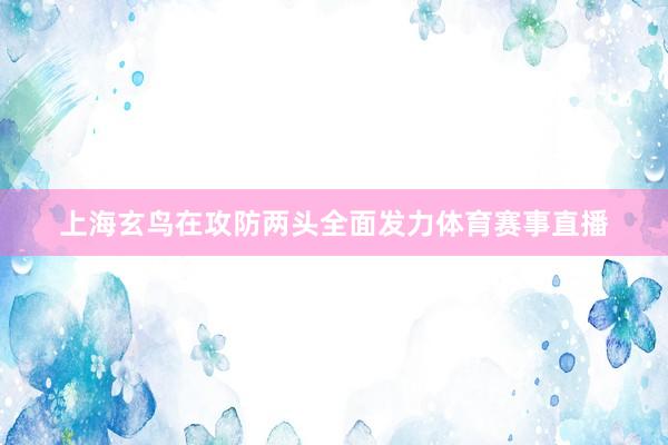 上海玄鸟在攻防两头全面发力体育赛事直播