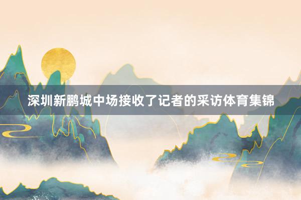 深圳新鹏城中场接收了记者的采访体育集锦