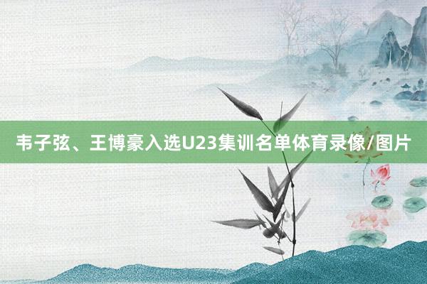 韦子弦、王博豪入选U23集训名单体育录像/图片
