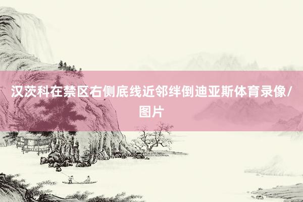汉茨科在禁区右侧底线近邻绊倒迪亚斯体育录像/图片